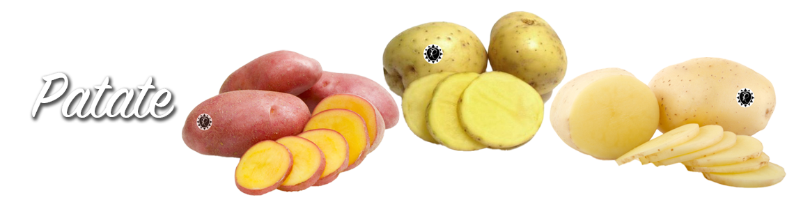 Patate